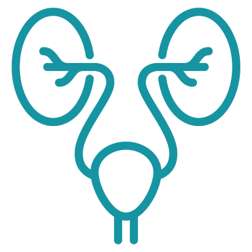 Urologiya-Andrologiya