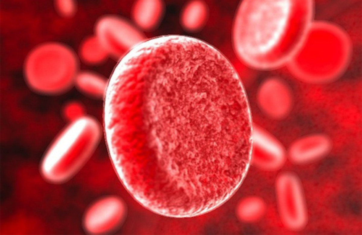 Qan qruplarının kəşfi